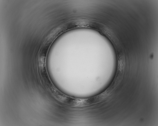 X0000116040093200912111450