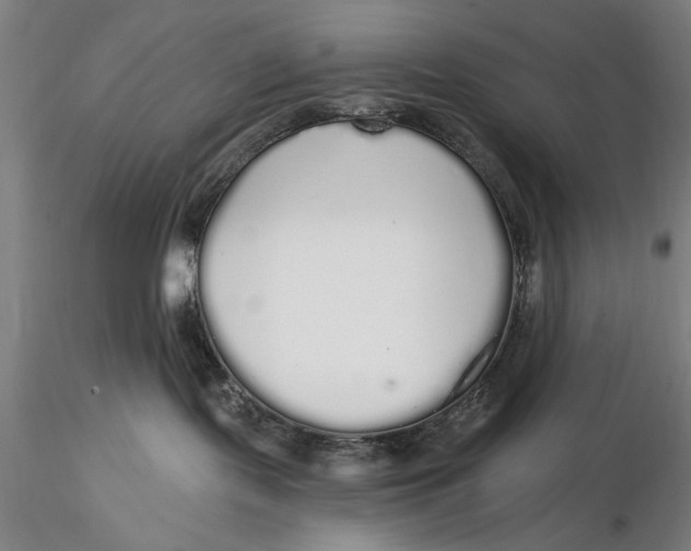 X0000116040095200912111450