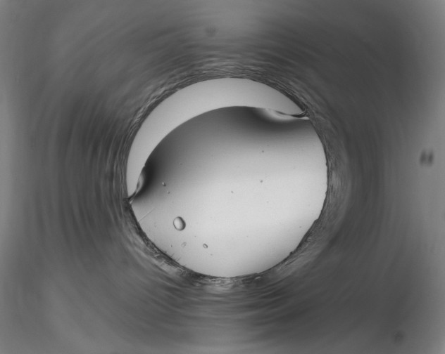 X0000116040096200912111450