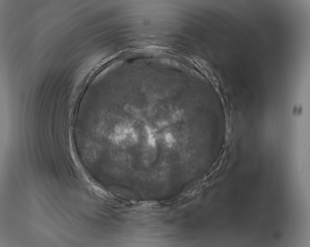 X0000116040097200912111449