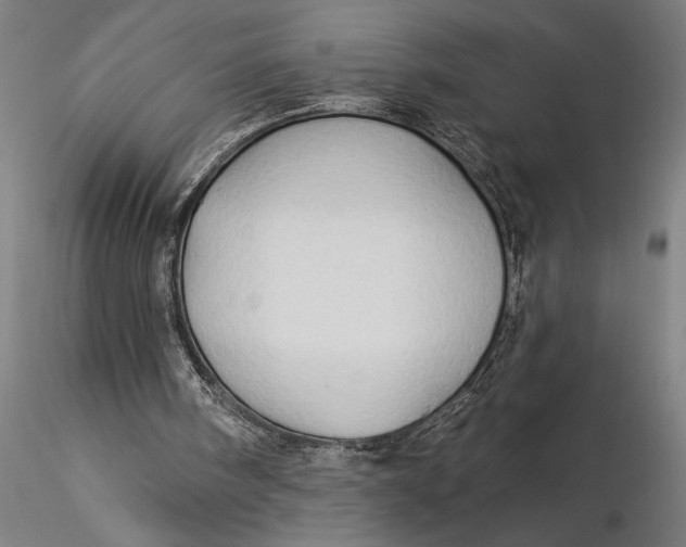 X0000116040098200912111449