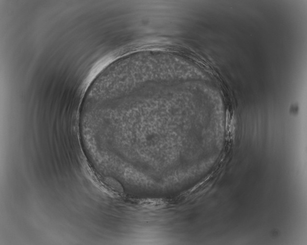 X0000116040099200912111449