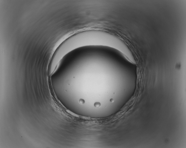 X0000116040100200912111449