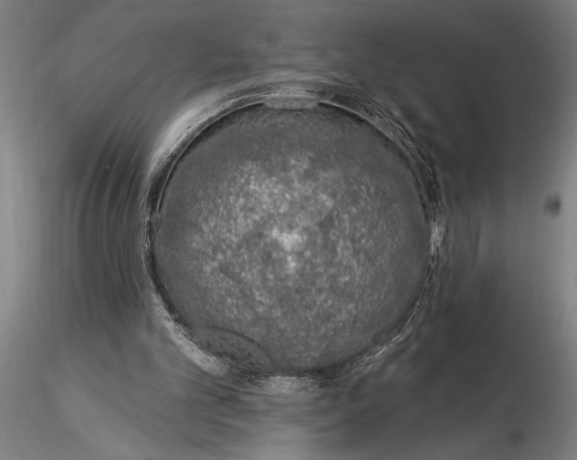 X0000116040101200912111449