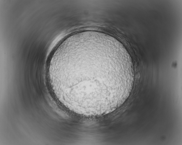 X0000116040102200912111449