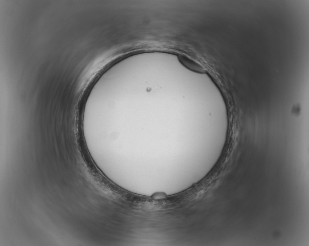 X0000116040103200912111449