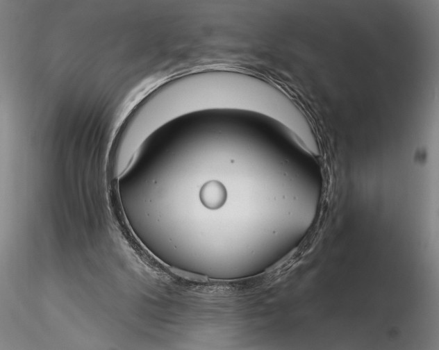 X0000116040104200912111449