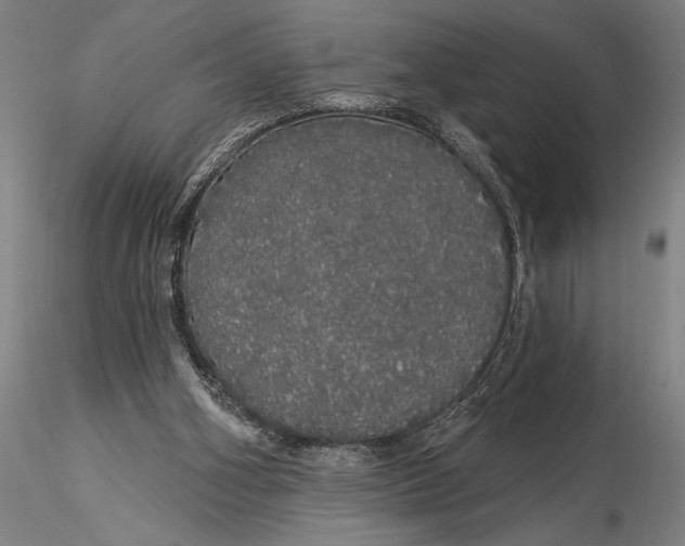 X0000116040106200912111449