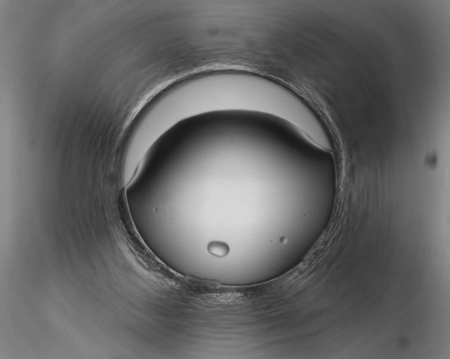 X0000116040108200912111449