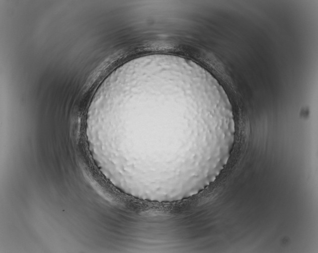 X0000116040110200912111449