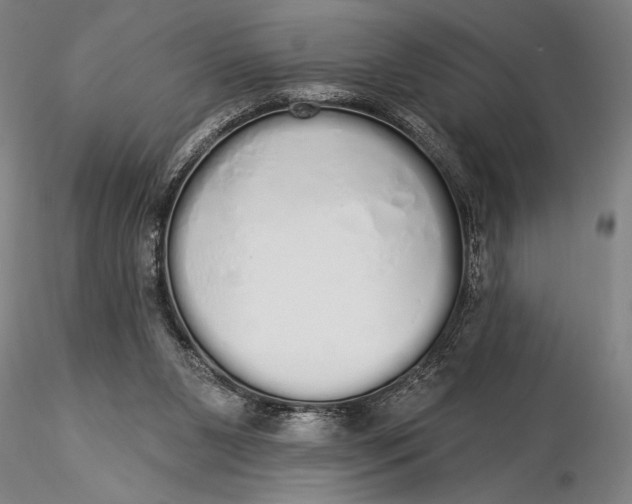 X0000116040111200912111449