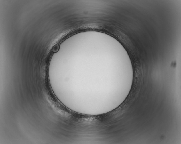 X0000116040112200912111449