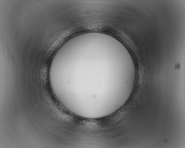 X0000116040113200912111449