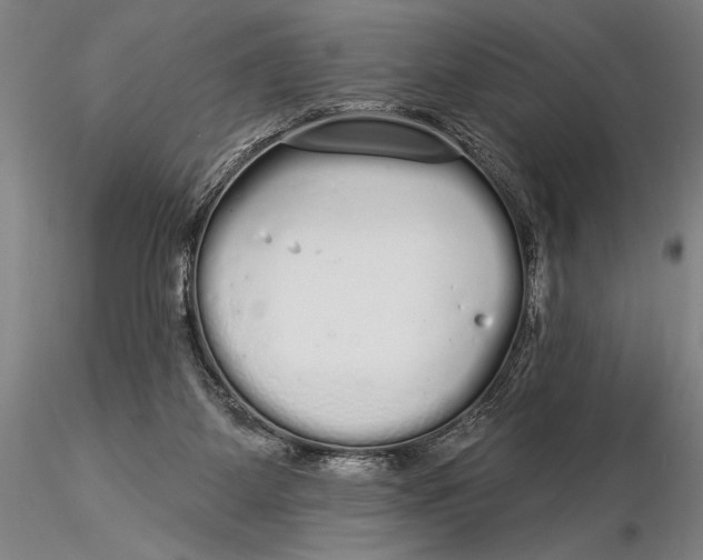 X0000116040115200912111449