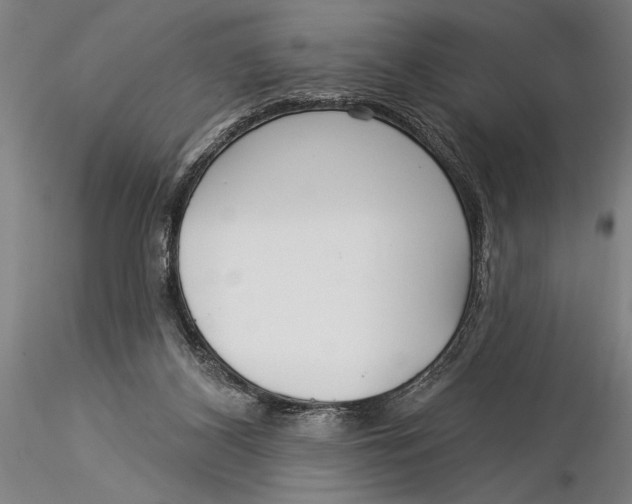X0000116040116200912111449