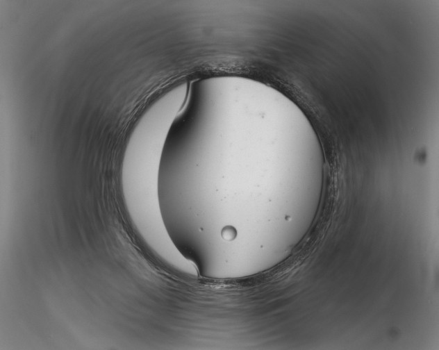 X0000116040117200912111449