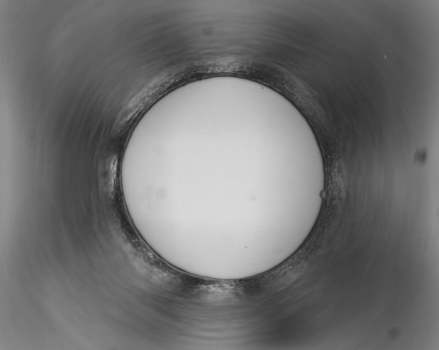 X0000116040118200912111449