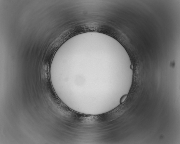 X0000116040122200912111449