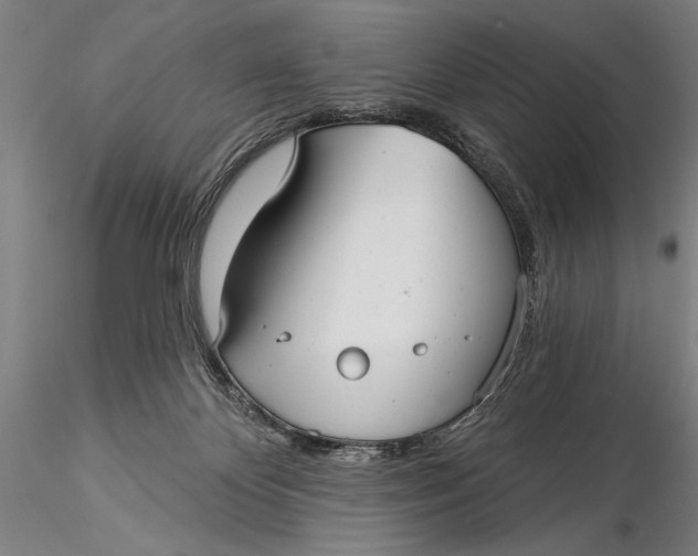 X0000116040124200912111449