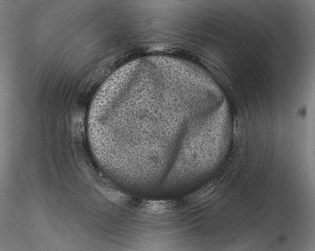 X0000116040127200912111449
