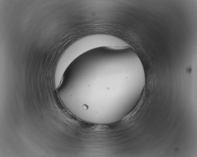 X0000116040128200912111449