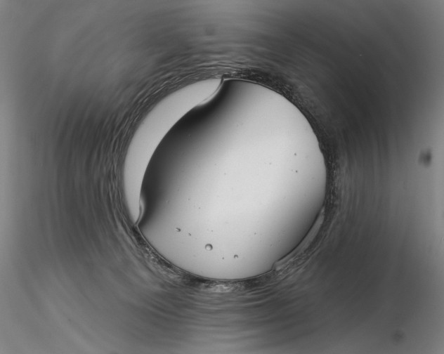 X0000116040129200912111449