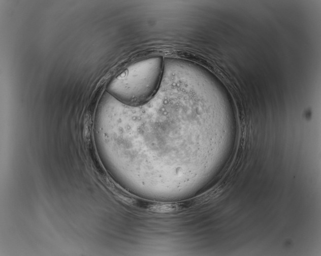 X0000116040131200912111449