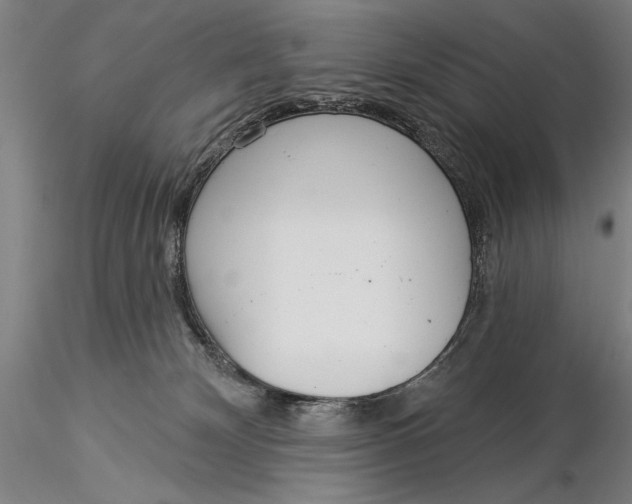 X0000116040132200912111449