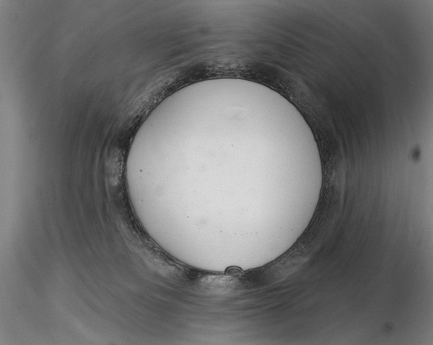 X0000116040133200912111449