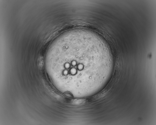 X0000116040135200912111449