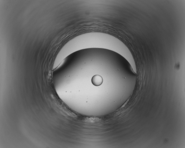 X0000116040137200912111449