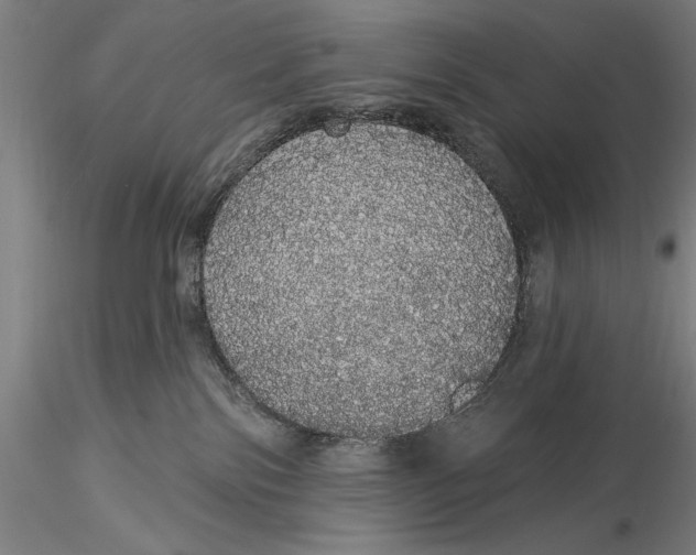 X0000116040138200912111449