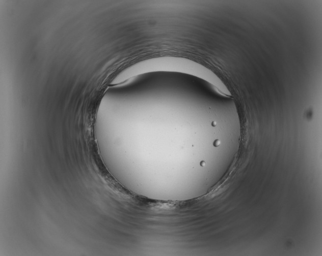 X0000116040140200912111449