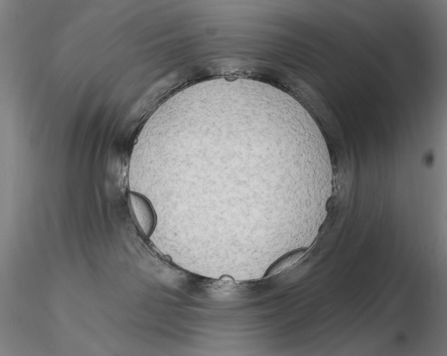 X0000116040142200912111449