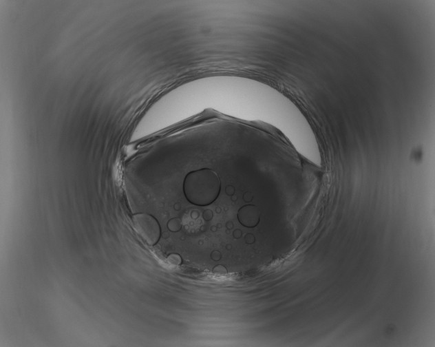 X0000116040143200912111449