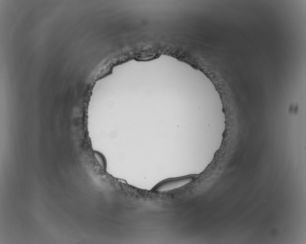 X0000116040144200912111449