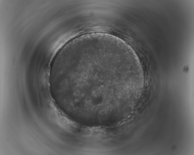 X0000116040146200912111448