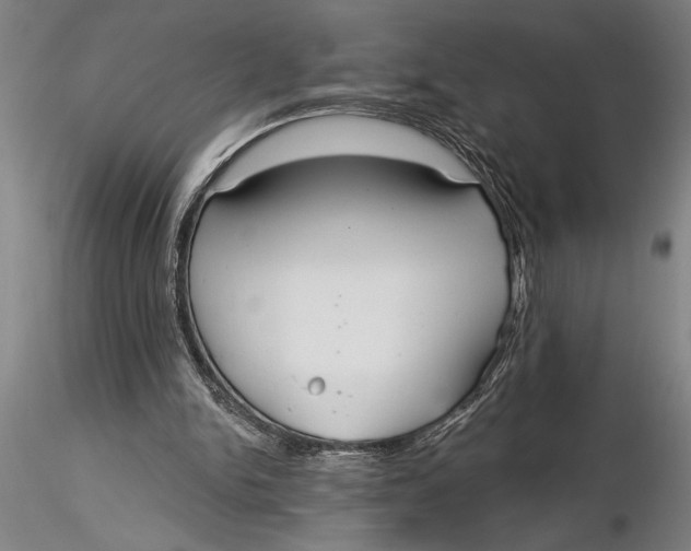 X0000116040150200912111448