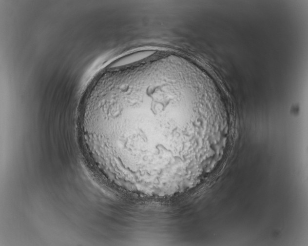 X0000116040151200912111448