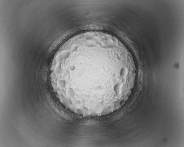 X0000116040153200912111448