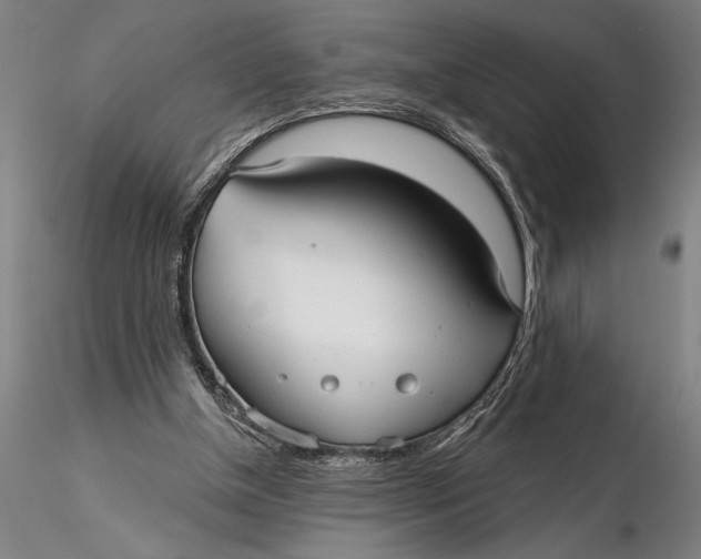 X0000116040154200912111448