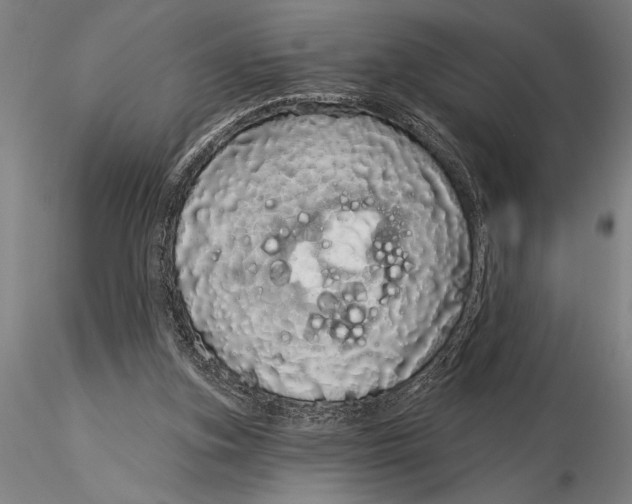 X0000116040155200912111448