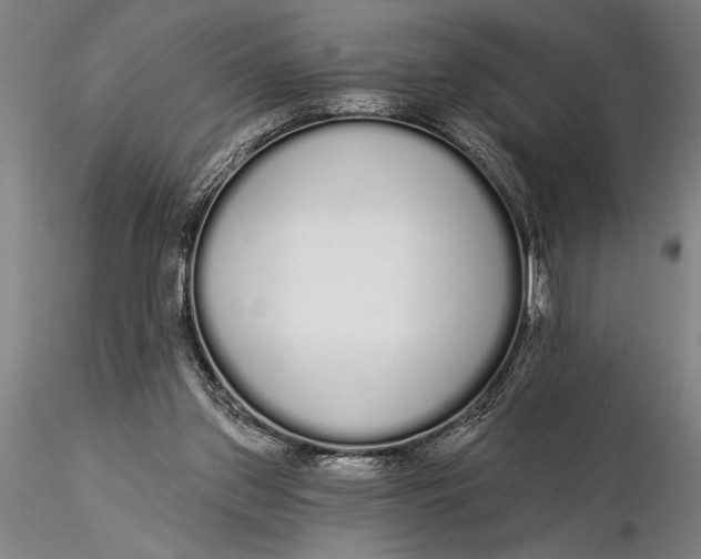 X0000116040157200912111448