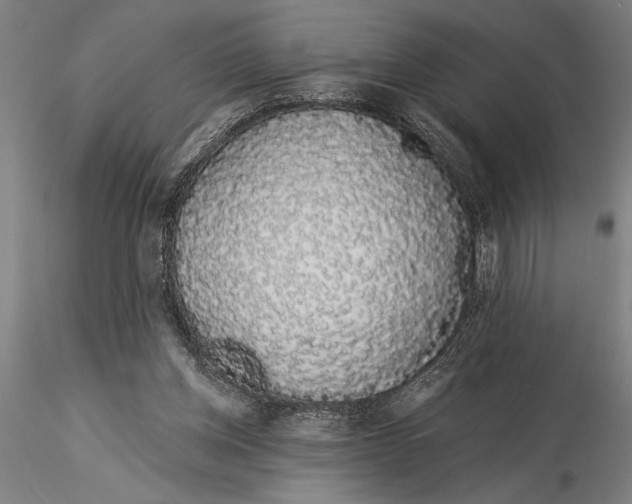 X0000116040158200912111448