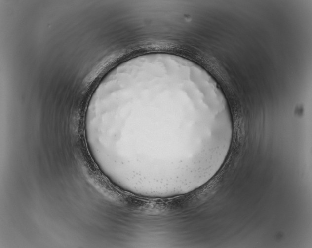 X0000116040159200912111448