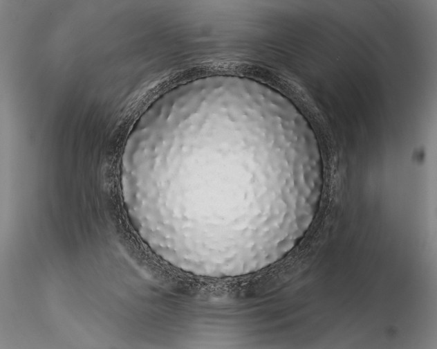 X0000116040161200912111448