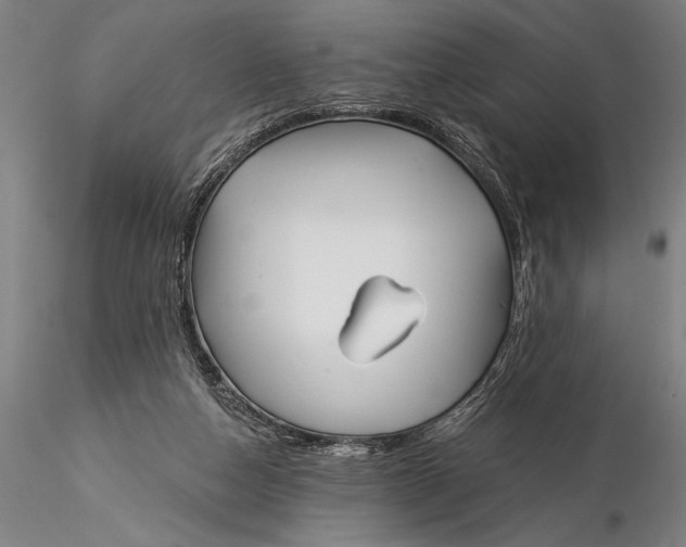 X0000116040162200912111448