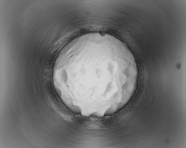 X0000116040165200912111448