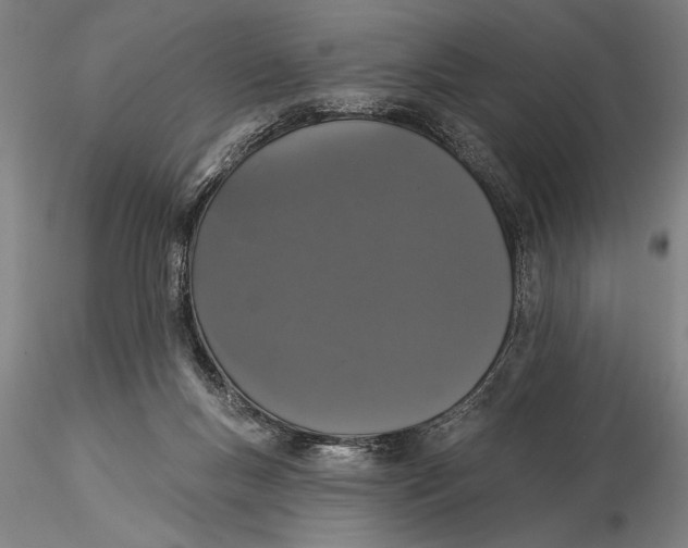 X0000116040167200912111448