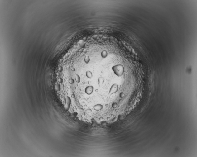 X0000116040169200912111448